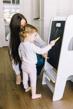 Load image into Gallery viewer, Butterstix assorted colors chalks + holder