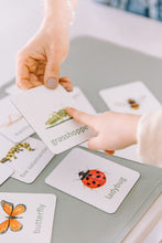 Charger l'image dans la galerie, bugs learning magnets learning cards for kids aimants d'apprentissage insectes cartes d'apprentissage pour enfants