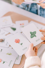 Load image into Gallery viewer, plants learning magnets learning cards for kids aimants d'apprentissage botanique cartes d'apprentissage pour enfants
