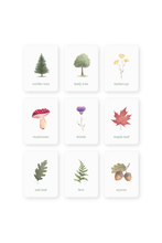 Load image into Gallery viewer, plants learning magnets learning cards for kids aimants d&#39;apprentissage botanique cartes d&#39;apprentissage pour enfants
