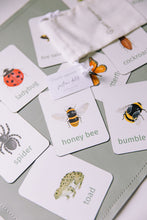 Load image into Gallery viewer, bugs learning magnets learning cards for kids aimants d&#39;apprentissage insectes cartes d&#39;apprentissage pour enfants
