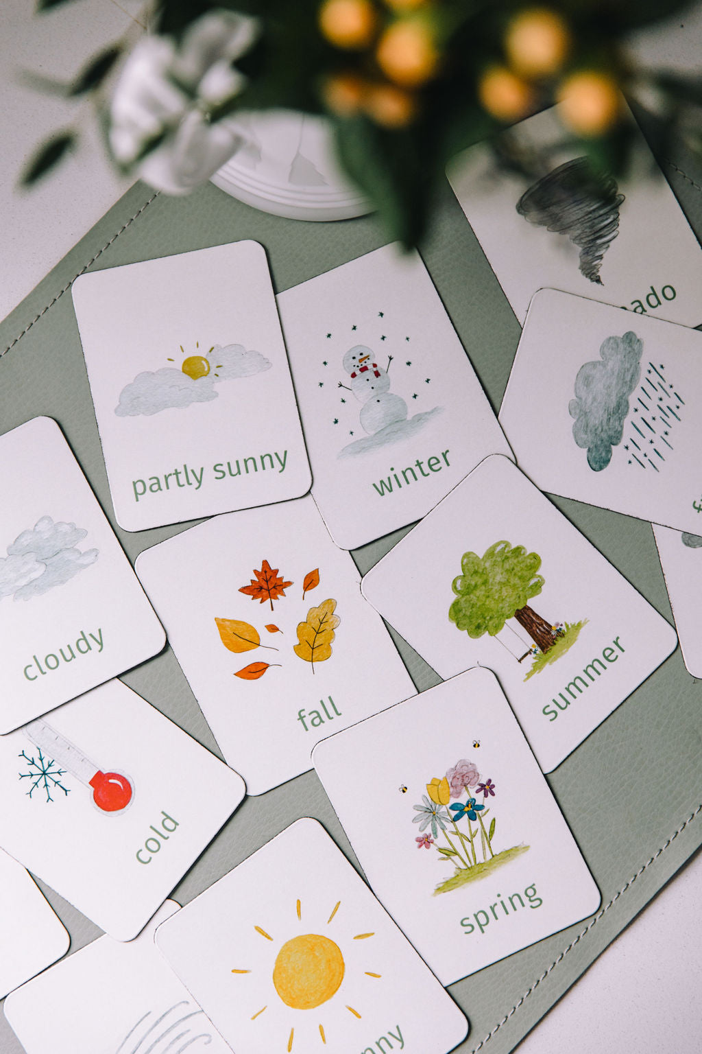 Set of learning magnets | weather & seasons – petit apprenti