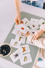 Charger l&#39;image dans la galerie, bugs learning magnets learning cards for kids aimants d&#39;apprentissage insectes cartes d&#39;apprentissage pour enfants
