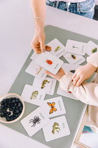 bugs learning magnets learning cards for kids aimants d'apprentissage insectes cartes d'apprentissage pour enfants