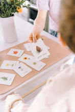 Charger l&#39;image dans la galerie, plants learning magnets learning cards for kids aimants d&#39;apprentissage botanique cartes d&#39;apprentissage pour enfants
