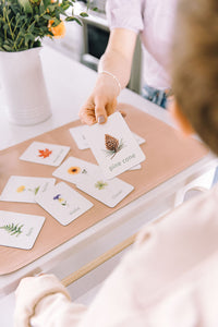 plants learning magnets learning cards for kids aimants d'apprentissage botanique cartes d'apprentissage pour enfants