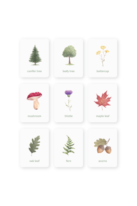 plants learning magnets learning cards for kids aimants d'apprentissage botanique cartes d'apprentissage pour enfants